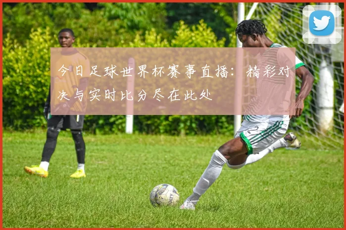 今日足球世界杯赛事直播:精彩对决与实时比分尽在此处