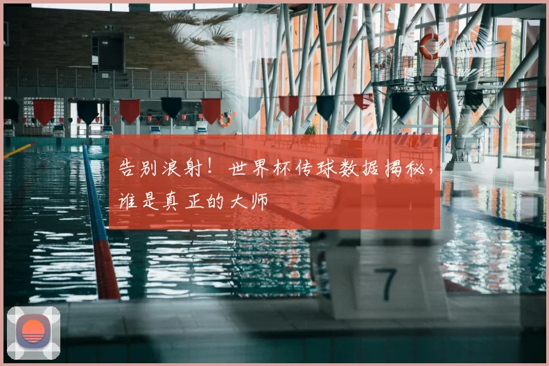 告别浪射!世界杯传球数据揭秘,谁是真正的大师
